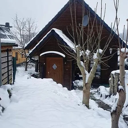 Ferienhaus-Wurzbach Exterior foto