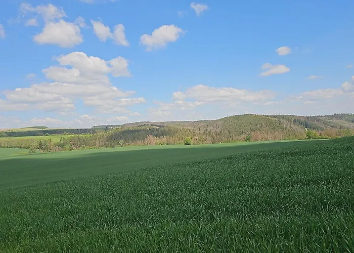 Ferienhaus-Wurzbach