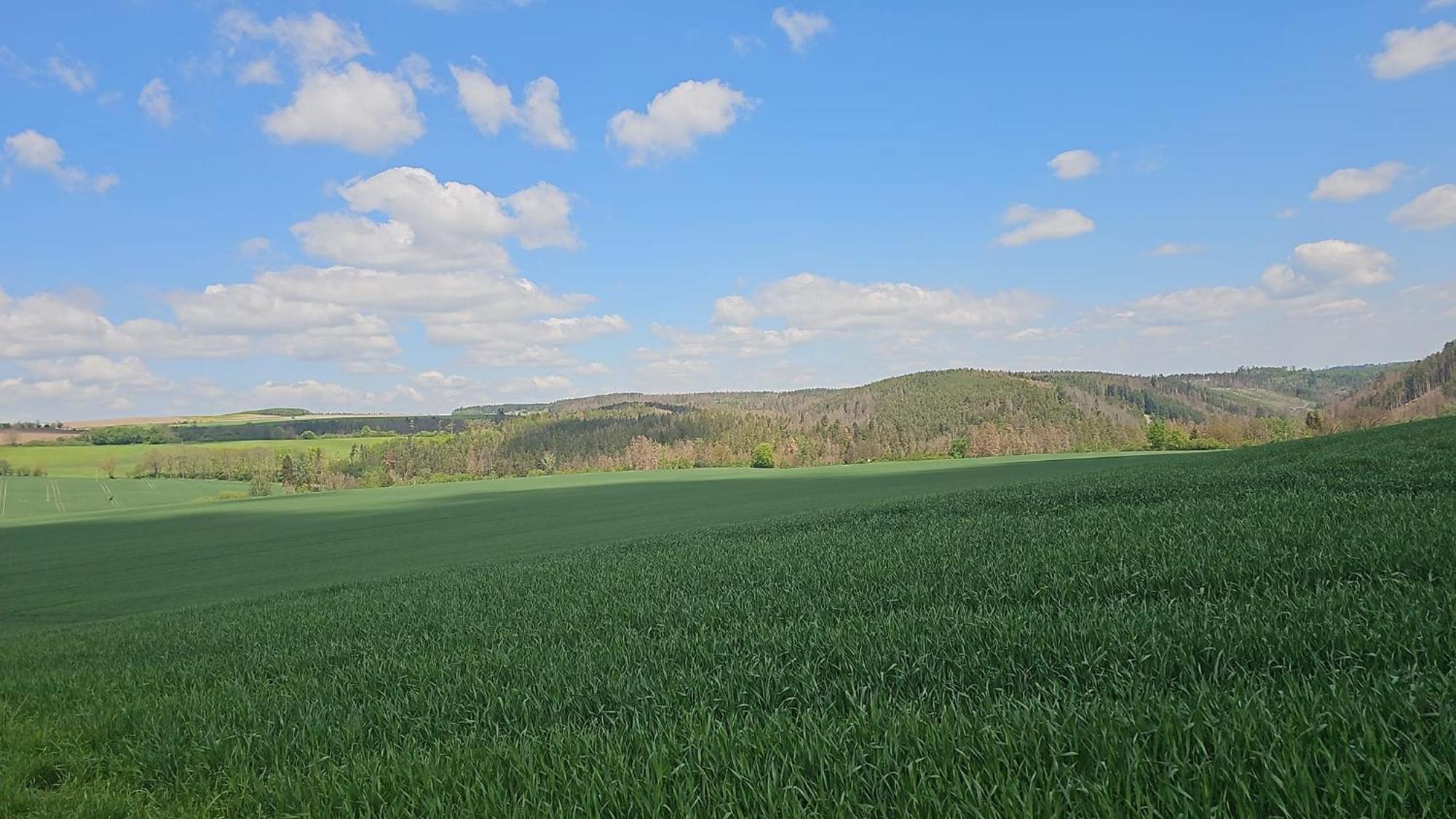 Holiday home Ferienhaus-wurzbach Wurzbach